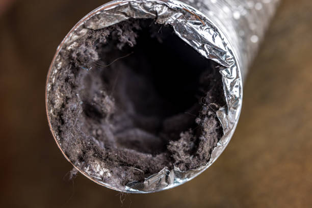 Best Best Air Duct Cleaning Company  in La Plata, NM